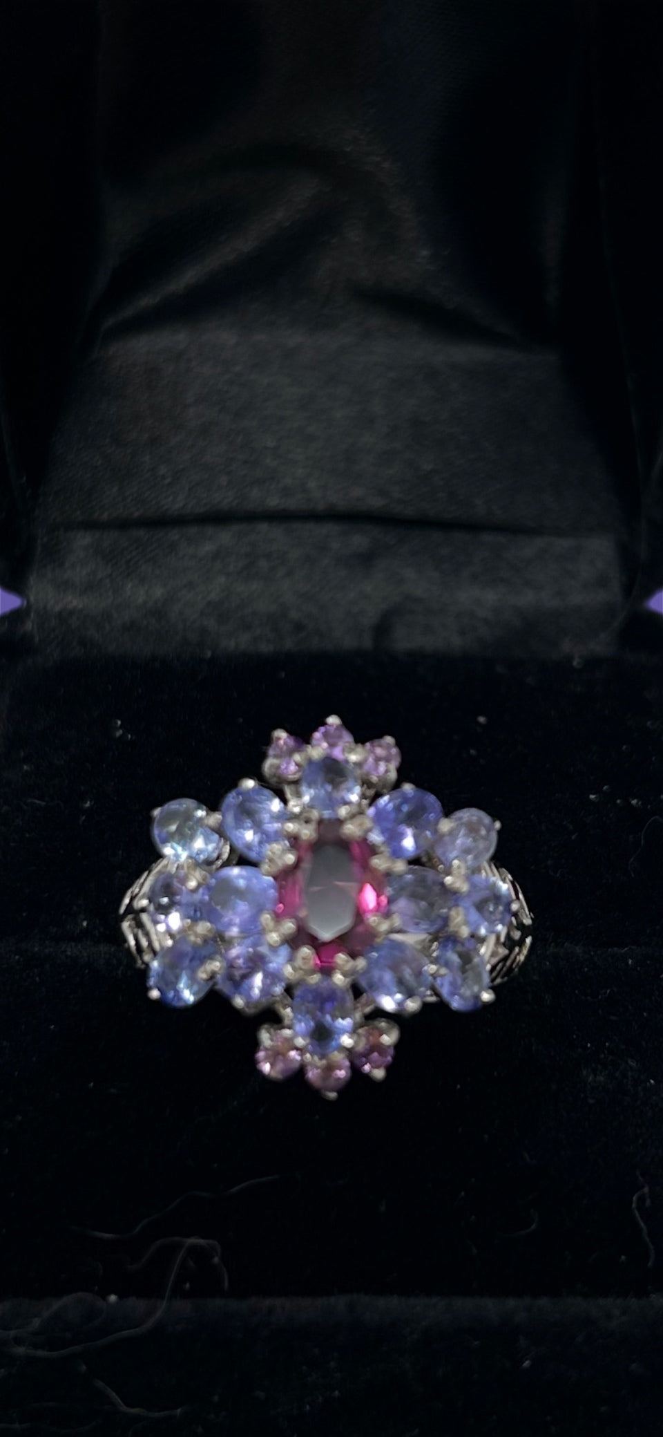 Genuine Garnet & Tanzanite Encrusted Ring