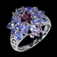 Genuine Garnet & Tanzanite Encrusted Ring
