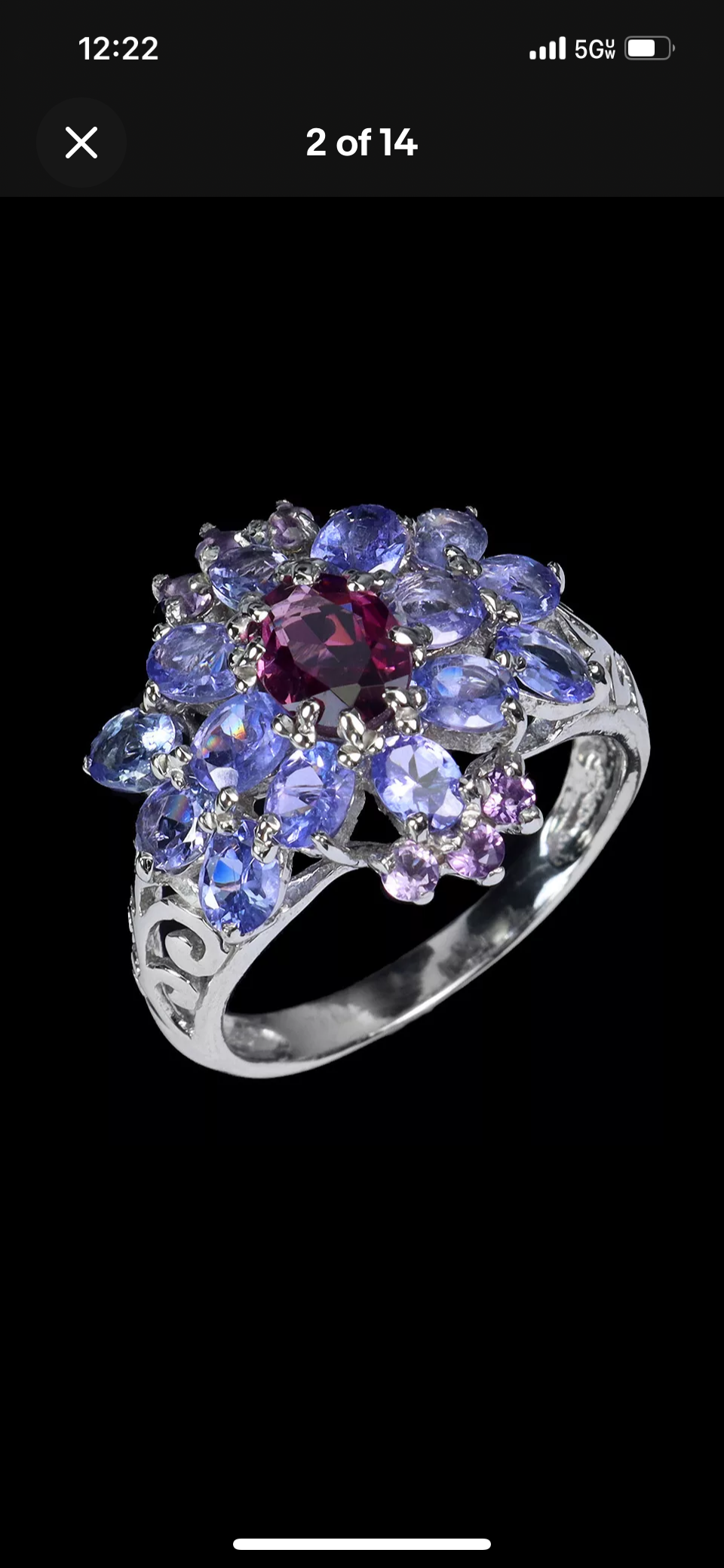 Genuine Garnet & Tanzanite Encrusted Ring