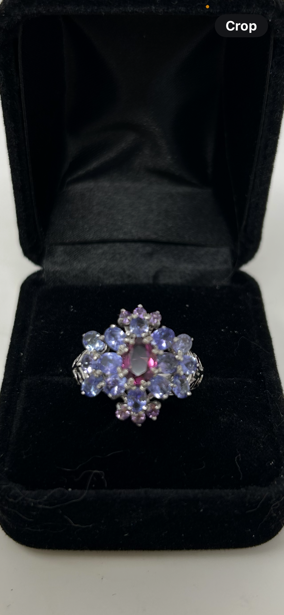 Genuine Garnet & Tanzanite Encrusted Ring