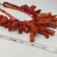 Exquisite Genuine Coral & Carnelian Artist Original Necklace