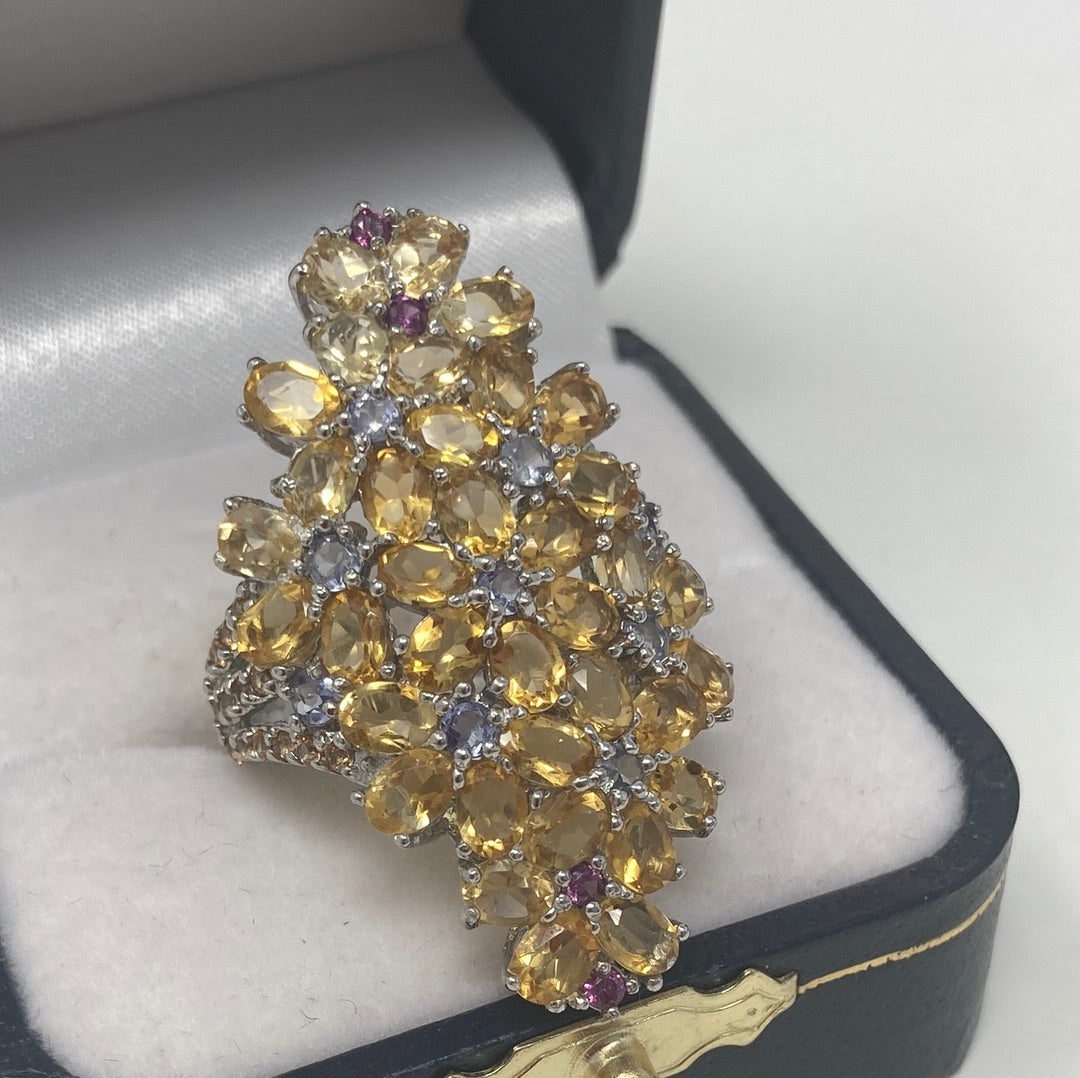 Incredible Citrine, Tanzanite, Garnet & Sapphire Bouquet Ring